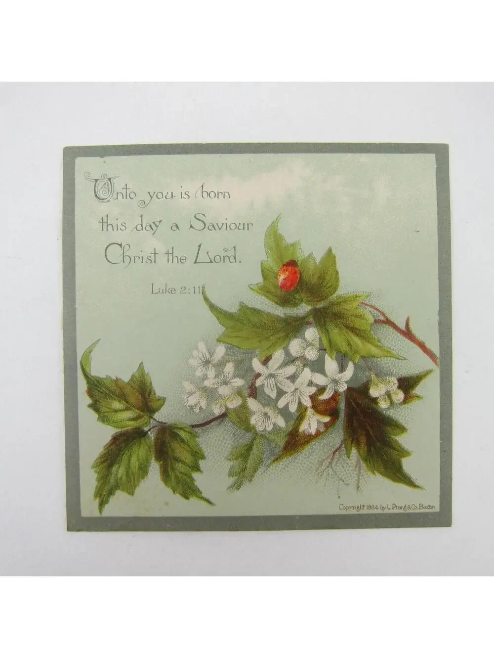 Victorian Greeting Card Easter Ladybug Green Leaves White Flowers Antique 1884